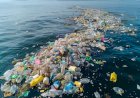 Brasil lança 1,3 milhão de toneladas de plástico no oceano anualmente