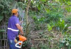 Prefeitura intensifica mutirão de serviços e leva melhorias ao bairro Paraíso de Baixo