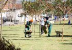 Barra Mansa: revitalização da Beira-Rio avança com nova etapa de iluminação e arborização*