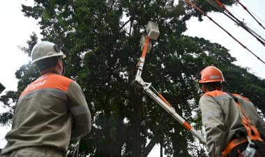 Prefeitura de Barra Mansa e Light unem forças para intensificar poda preventiva e manutenção da rede elétrica