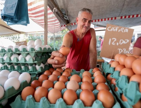 Frutas da estação e preços mais em conta: no dia do feirante, ALERJ destaca leis de incentivo às feiras