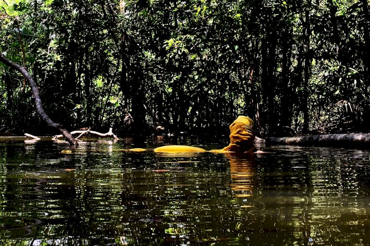 Exposição itinerante Reminiscências chega ao Rio de Janeiro com a potencialidade do território Amazônico como tema central