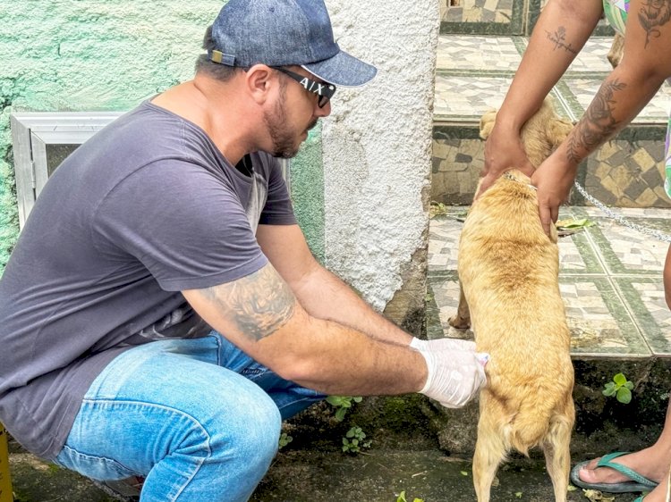 Prefeitura de Barra Mansa realiza vacinação antirrábica em Floriano