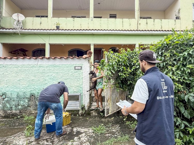 Prefeitura de Barra Mansa realiza vacinação antirrábica em Floriano