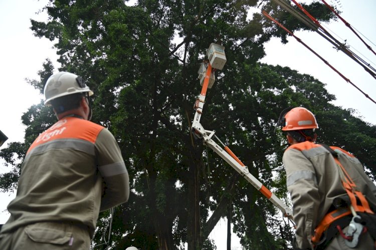 Prefeitura de Barra Mansa e Light unem forças para intensificar poda preventiva e manutenção da rede elétrica