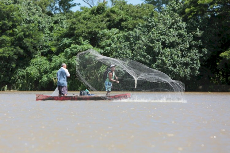 Leis da Alerj fortalecem direitos dos pescadores e reforçam importância da economia do Mar no Rio