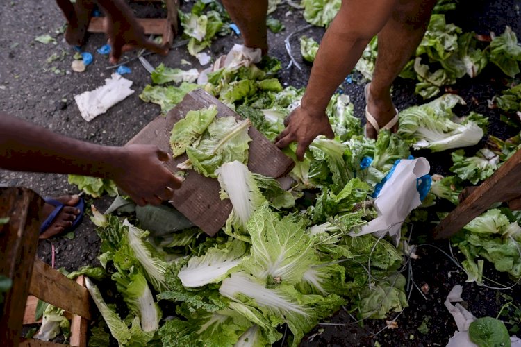 Entre o desperdício e o prato vazio: Leis da Alerj incentivam doações e o combate à fome